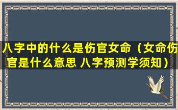 八字中的什么是伤官女命（女命伤官是什么意思 八字预测学须知）